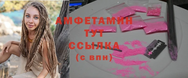 индика Майский
