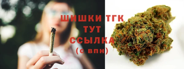 трава Магас