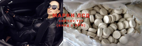 трава Магас