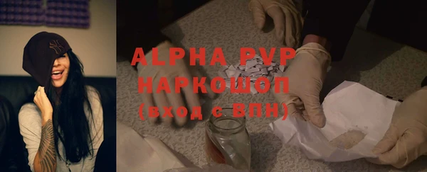 индика Майский