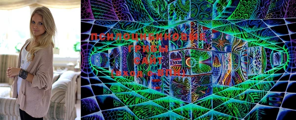 индика Майский