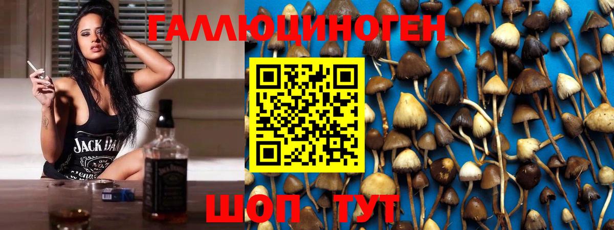 Псилоцибиновые грибы прущие грибы  Галлюциногенные грибы прущие грибы  Уфа  Вход с VPN 